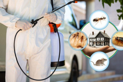 How ASRS help you with its Pest control services in Sydney?