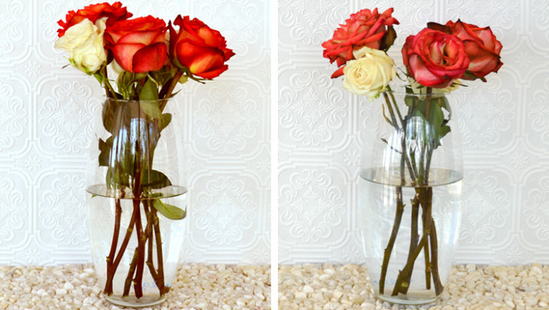 How to increase your Flowers Lifespan?