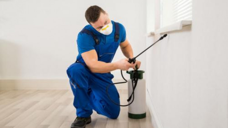 Bed Bug Exterminators