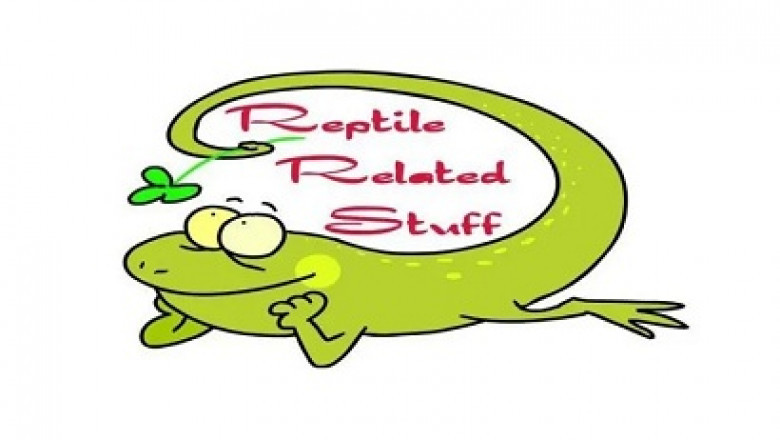 Pangea Reptile Food