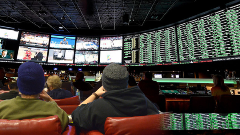 Professional Sports Bettors