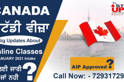 What Next - Canada AIP Approved? - Online Classes? | January 2021 Intake