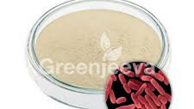 Bacillus subtilis Powder