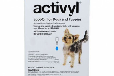 Buy Activyl flea and tick for Dogs Treatment Online - DiscountPetCare