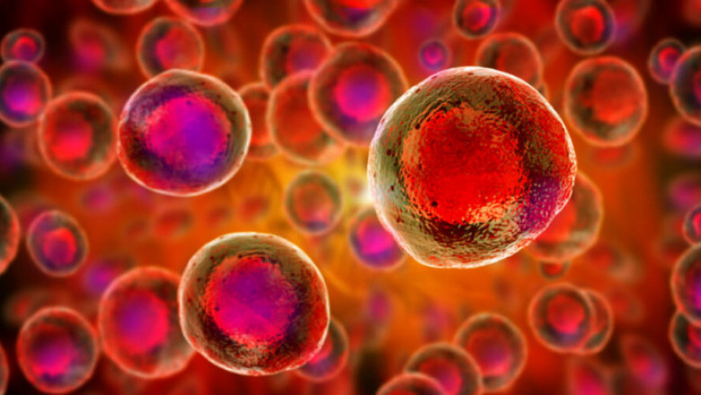 Cell Expansion Market Size, Share, Outlook, and Opportunity Analysis, 2018– 2026