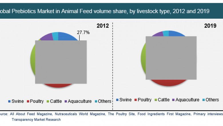 Prebiotics In Animal Feed Market - Global Industry Analysis, And Forecast 2019