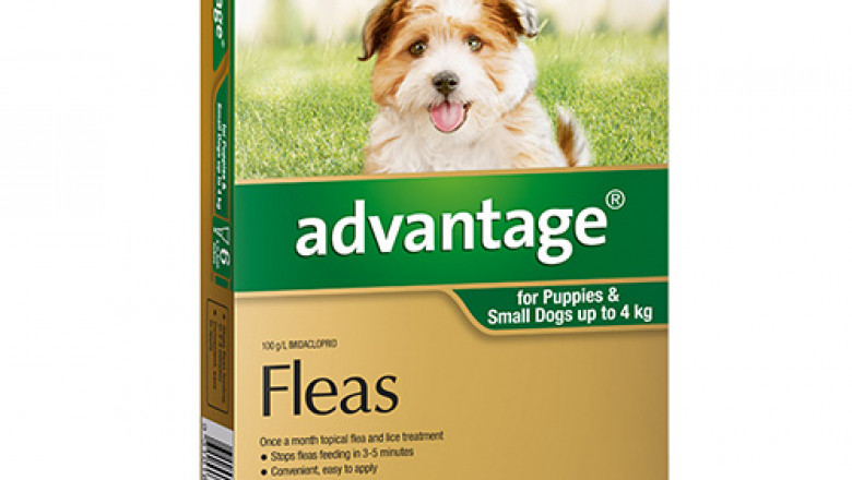 BuyAdvantageSpot-OnFleaTreatmentforDogsOnline-DiscountPetCare