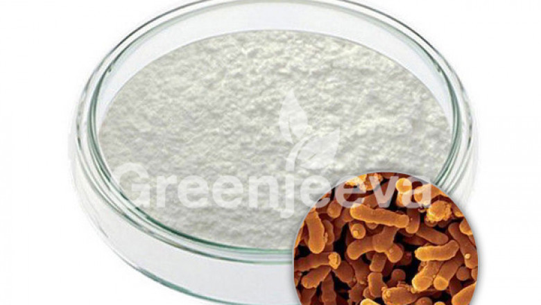 Bifidobacterium breve powder