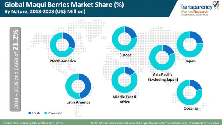 Maqui Berries Market is expected to rise at a CAGR of 21.2% During 2028