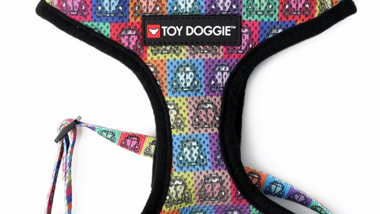 Shop for Top Quality Dog Collars and Harnesses – Toy Doggie Brand