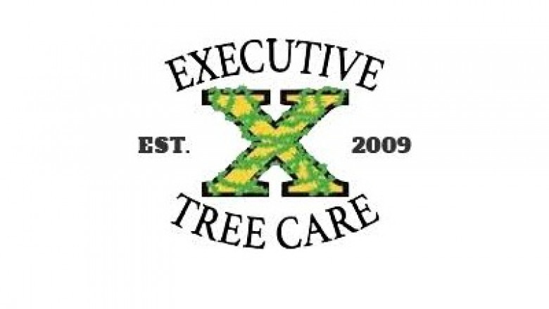 Tree Service In Delaware County PA