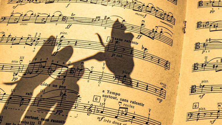 WHAT ARE MUSICAL NOTES? WHAT IS AN OCTAVE?