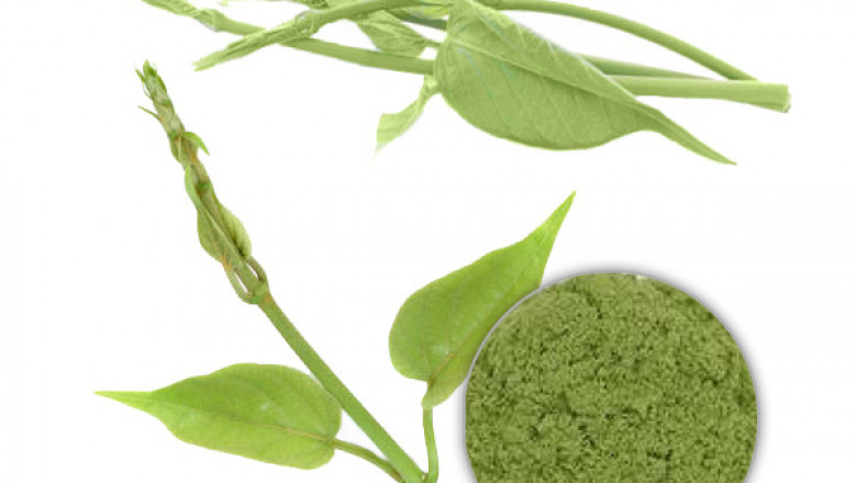 Gymnema Leaf Powder
