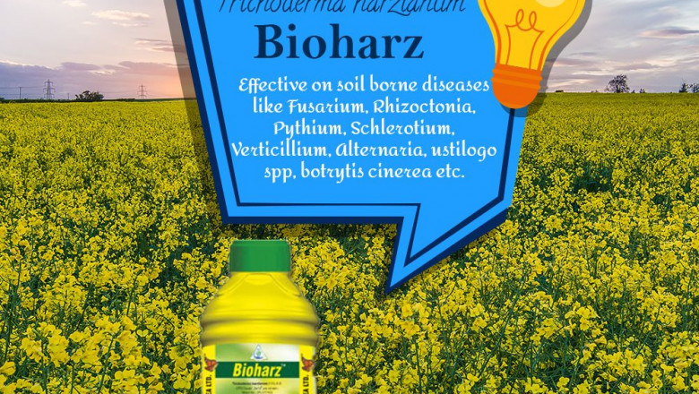 Best Bio Organic Fertilizers | Alternatives to Pesticides.