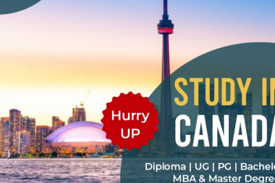 Best Immigration consultant in Punjab