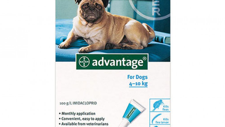 Buy advantage for dogs 11-20lbs