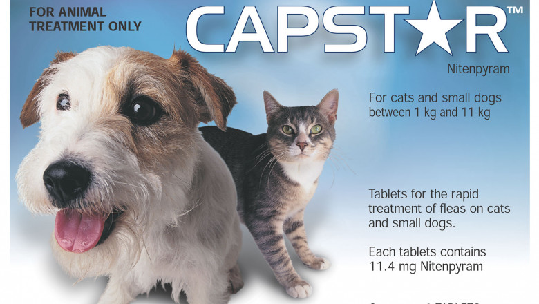 Capstar Oral Flea Treatment For Dogs Online - DiscountPetCare