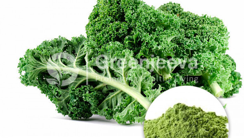 Kale Powder