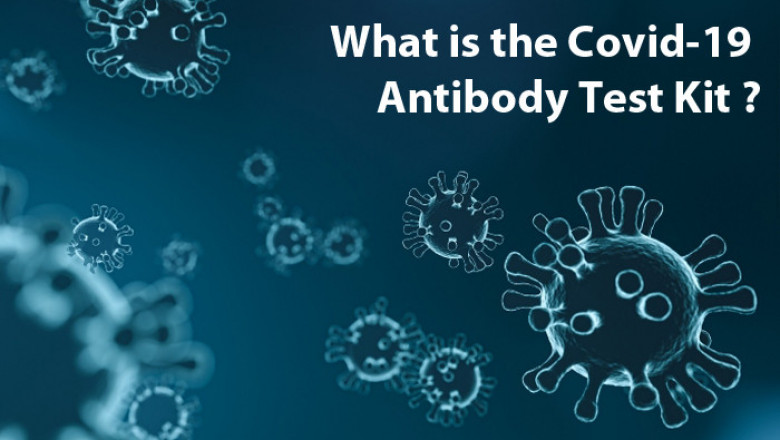 What is the Covid-19 Antibody Test Kit ?