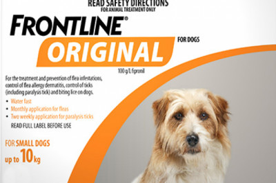 Frontline Original Flea & Tick Control For Dogs Online - DiscountPetCare