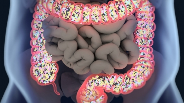 The Human Microbiome Project is gaining momentum, with a slew of biotech companies investing heavily in research and development