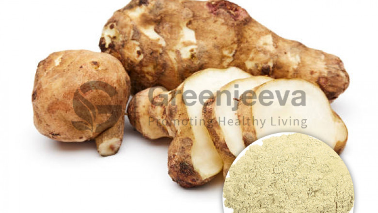 Organic Artichoke Powder