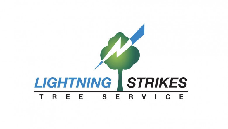 Tree Trimming Service Plymouth MA