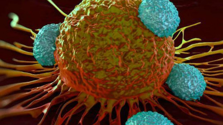 What is Cancer/Tumor Profiling , and how does it work? What are the different types of profilers that are used during the process?