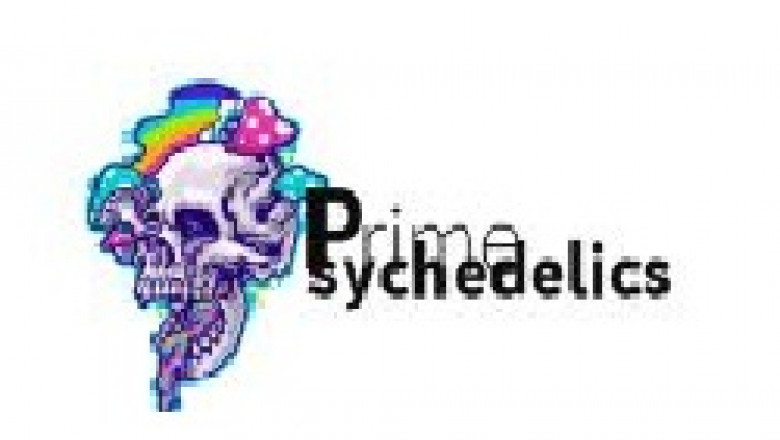 Buy Golden Teacher Magic Mushroom Strain Online - Prime Psychedelics