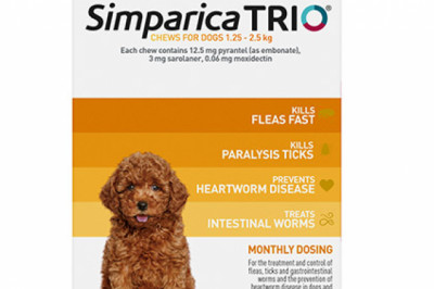 Buy Simparica Trio For Dogs Online - DiscountPetCare