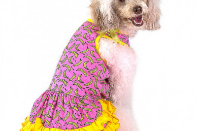Small Dog Shirts with Attractive Design from Toy Doggie Brand