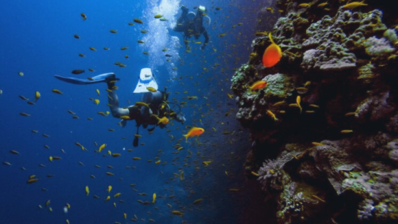 The PADI Open Water Diver course