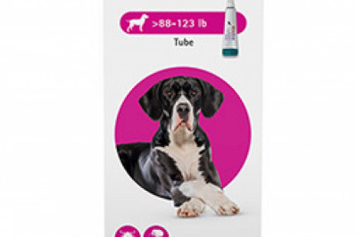 Buy Bravecto topical for x- large dogs | flea and tick treatment for dogs