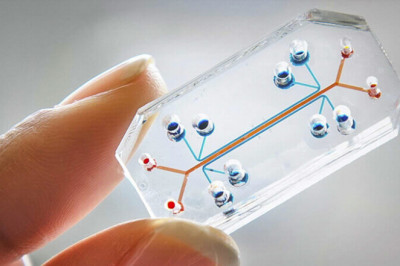 The Most Feasible Alternative For Biomedical Engineering Science And The Study Of Human Physiology Has Emerged As Organ-on-a-Chip