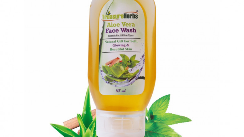 Treasureherbs- natural Aloe Vera face wash | Daybigen