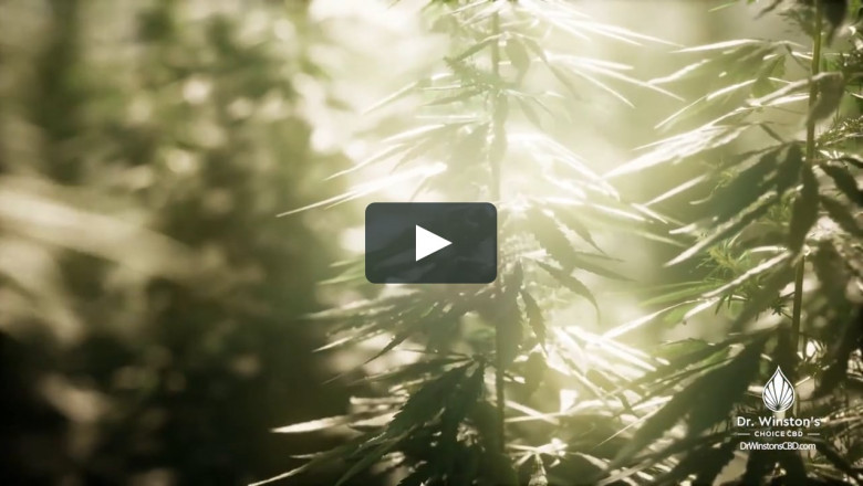 Essential Hemp Oil | Non Addictive | Dr. Winston’s Choice CBD