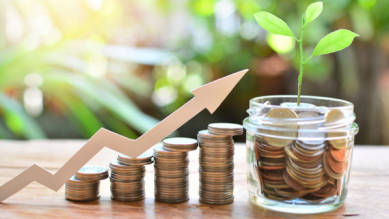 The Importance of Credit Protection Services