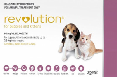Buy Revolution Heartworm & Flea Treatment For Dogs Online - DiscountPetCare