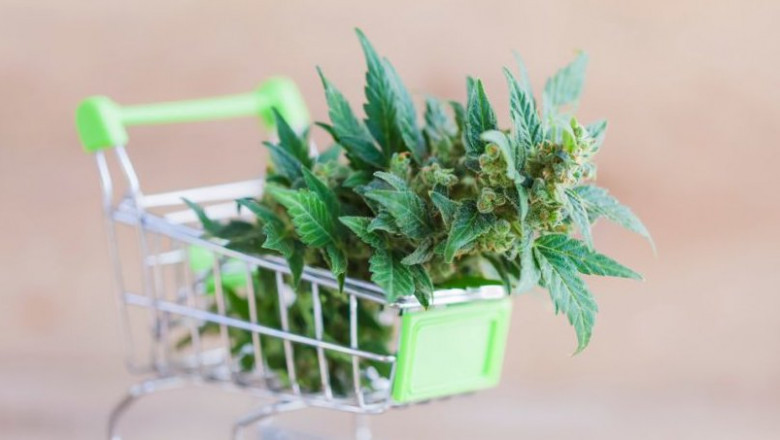 CAN CBD Aid WITH SLEEP Troubles?