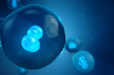 Life Cell Imaging: Rising concern of cancer is one of the major factors behind the market growth