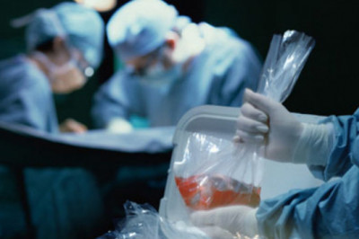 Organ Preservation into the 2020s: The Era of Dynamic Intervention