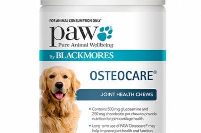 Buy Paw Osteocare Joint Health Chews For Dogs Online - DiscountPetCare