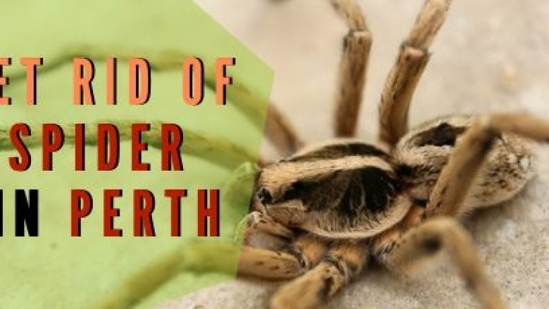 Marks Pest Control Perth