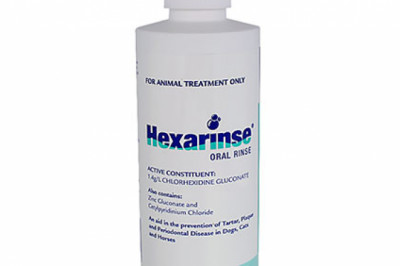Buy Hexarinse Oral Rinse for Dogs, Cats & Horses Online - DiscountPetCare