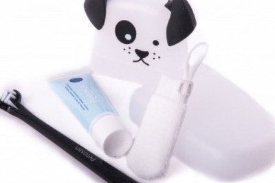 Buy Petosan Complete Dental Kit for Dogs Online - DiscountPetCare