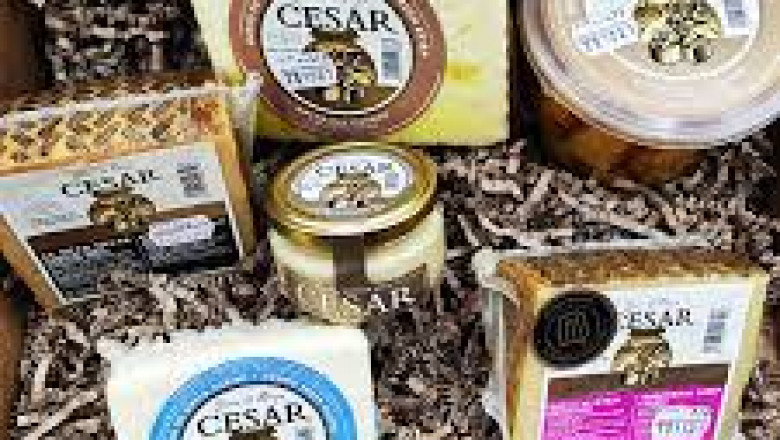 Chicharrillos Oti Servicio