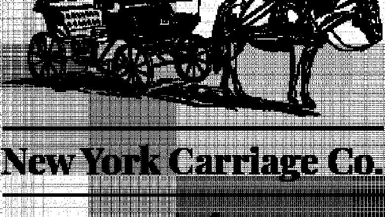 Horse Carriage Rides Central Park | Horse Carriages New York
