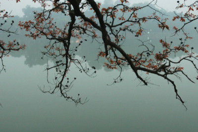 Adventures in Vietnam 9 Days