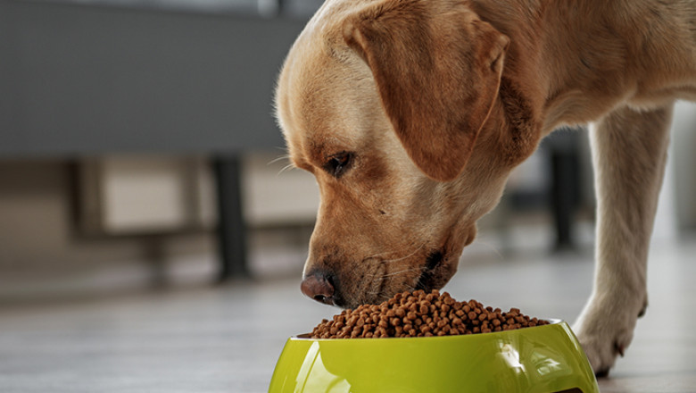 Animal nutrition focuses on the dietary needs of animals, primarily those in agriculture and food production, but also in zoos, aquariums, and wildlife management