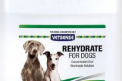 Buy Vetsense Dog/Horse Rehydrate Online  - VetSupply